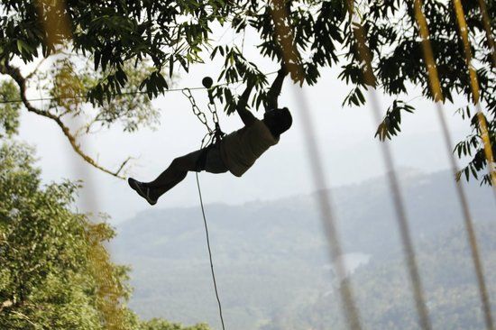 Fun Forest Adventure Park